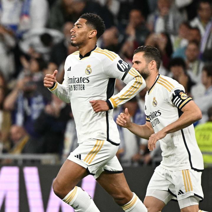 球场导览套 球场导览套